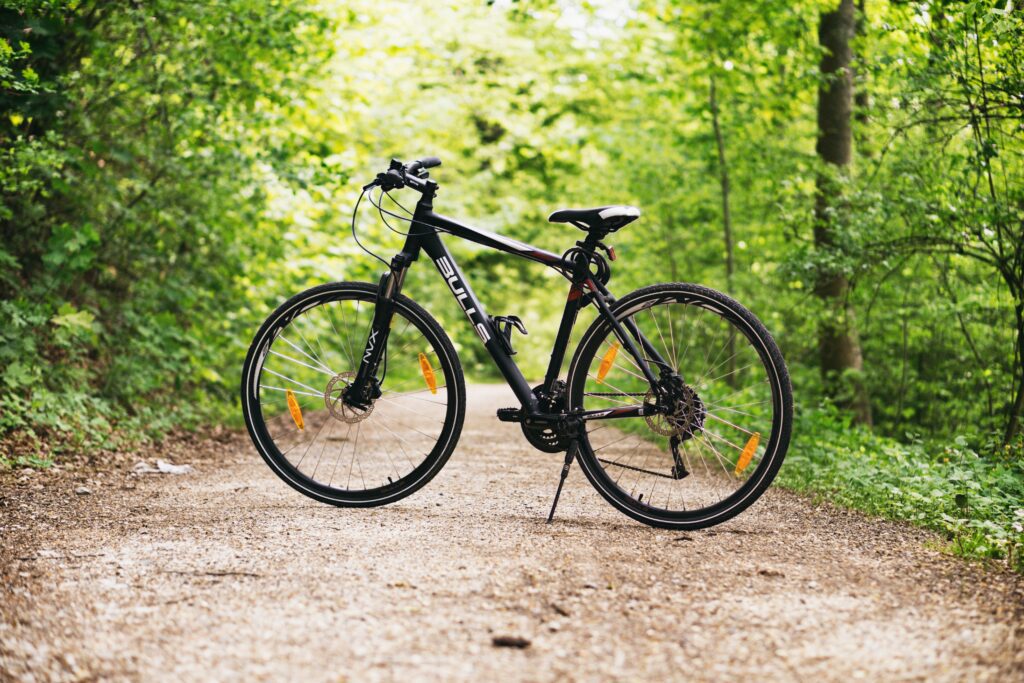 Vélo sur un chemin dans la forêt