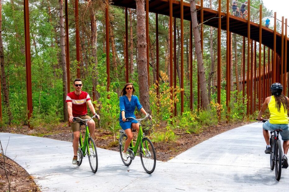 Les bienfaits du vélo sur notre santé et l'environnements